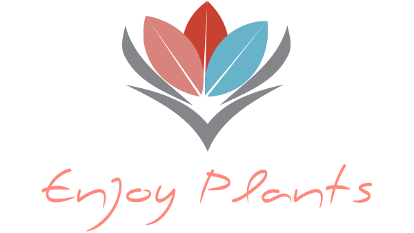 EnjoyPlants