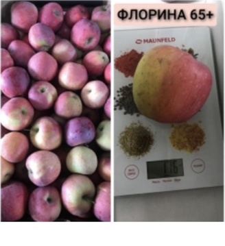 Яблоки Флорина