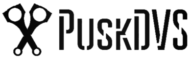 PuskDVS.ru