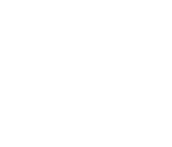 BRIÜT