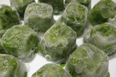 Лёд с укропом для лица ручная шнековая соковыжималка купить