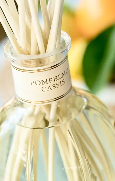 Colonna3_immagine_in_basso_POMPELMO_1.webp