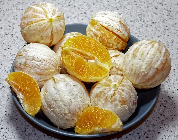 соковыжималка прессовая Sana Citrus Press