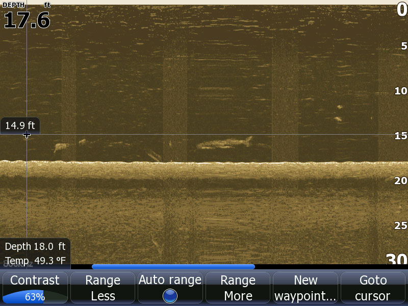 Рыба на DownScan