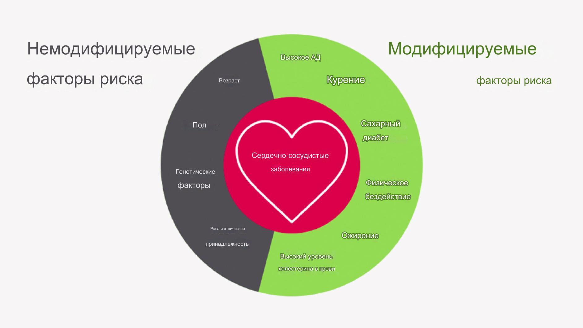 Факторы риска инфаркта миокарда Факторы риска инфаркта миокарда