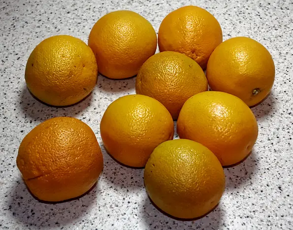соковыжималка прессовая Sana Citrus Press