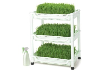 Проращиватель Tribest Wheatgrass Grower Set SM-350