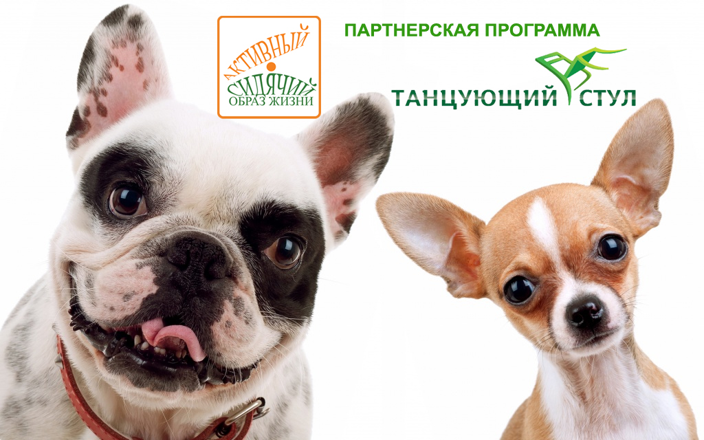 ПАРТНЕРКА ИНТЕРНЕТ МАГАЗИНА ТАНЦУЮЩИЙ СТУЛ