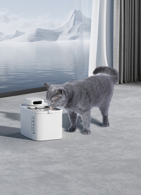 Набор из 5 фильтров для питьевого фонтана Eversweet Max PETKIT