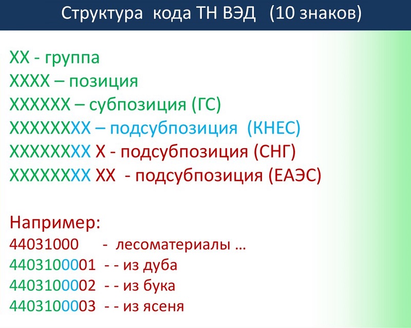 тн вэд