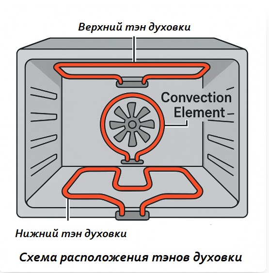 Расположение тэнов в духовке