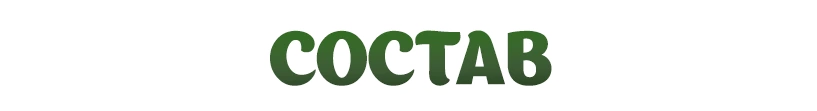 Состав игры