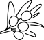 Облепиха