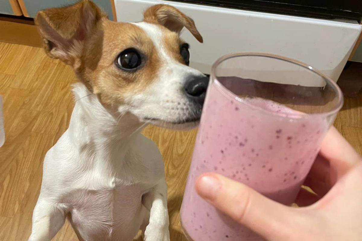 ключевые слова