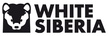 logo WS.png