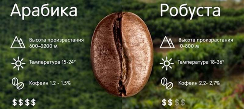 кофе для турки какой лучше