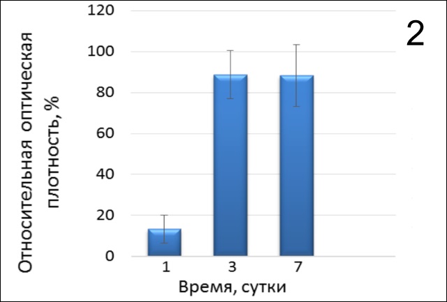 2 Пролиферативная активность фибробластов человека в присутствии активированной плазмы на коллагеновом 3Dматриксе 2 Пролиферативная активность фибробластов человека в присутствии активированной плазмы на коллагеновом 3Dматриксе.jpg