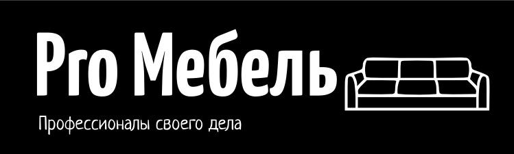 ПроМебель163