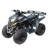 Dinli ATV 600 GT Dinli ATV 600 GT
