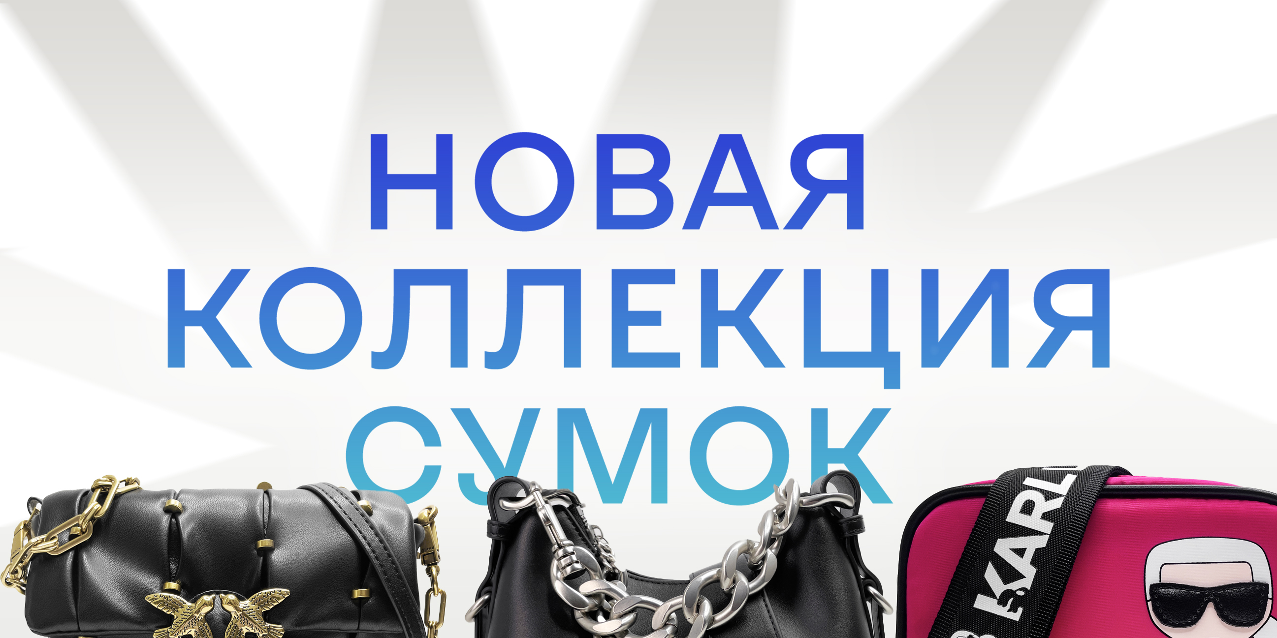 сумки обложка сумки обложка.jpg