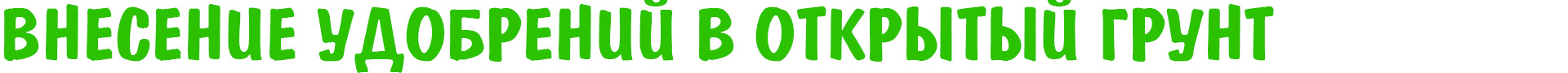 ВНЕСЕНИЕ УДОБРЕНИЙ В ОТКРЫТЫЙ ГРУНТ