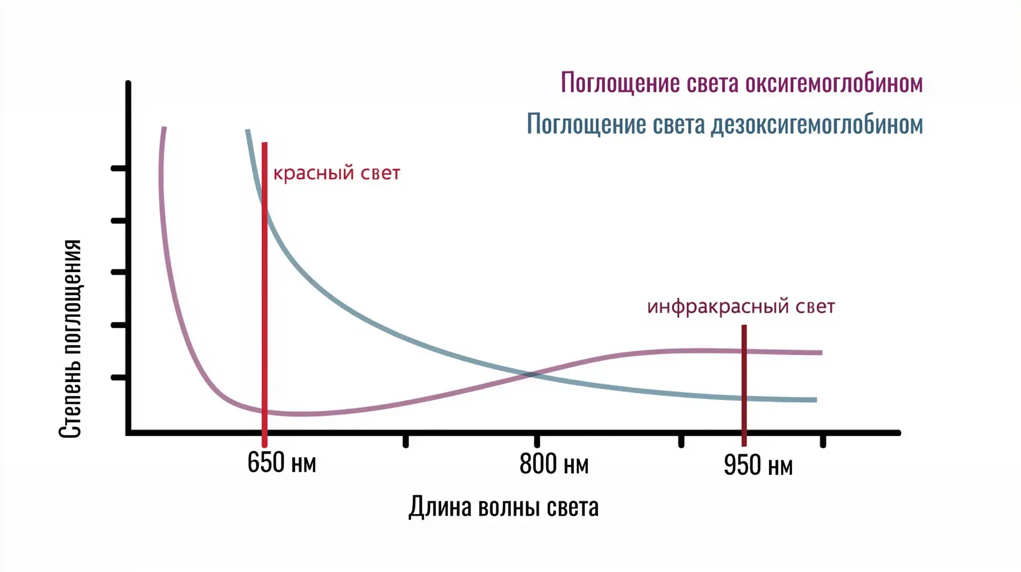 Спектры света в пульсоксиметрии