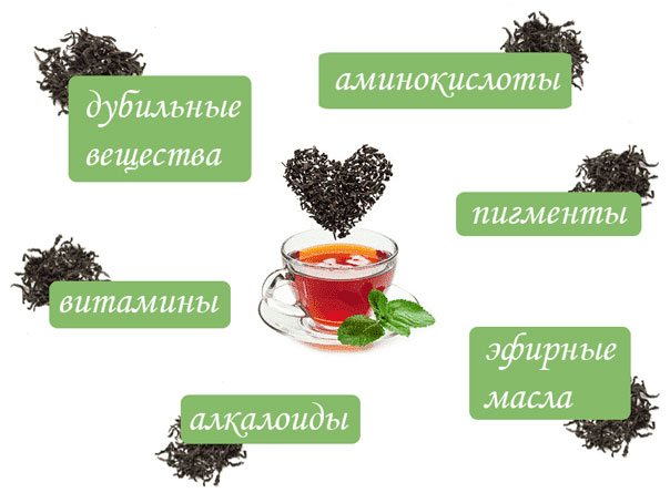 Состав чая. Схема Состав чая. Схема