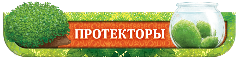 Протекторы Протекторы.png