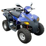 Dinli ATV 700 GT Dinli ATV 700 GT