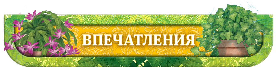 Впечатления Впечатления.png