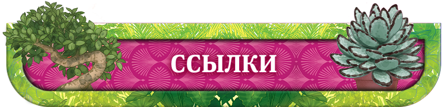 Ссылки Ссылки.png