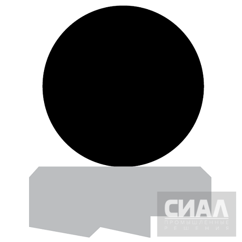 Профиль_уплотнение_штока_RS09.png