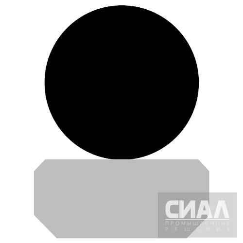 Профиль_уплотнение_штока_RS09A.png