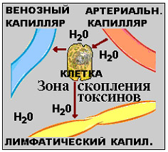 1 1.jpg