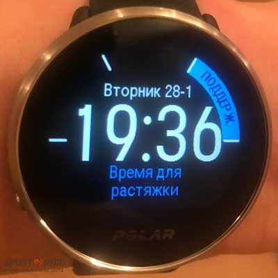 Polar Ignite FitSpark 