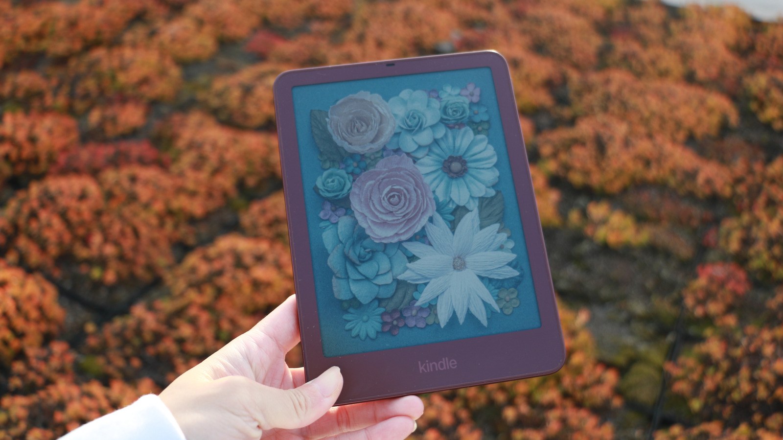 Цветная иллюстрация на экране Kindle Colorsoft Signature Edition 2026 Цветная иллюстрация на экране Kindle Colorsoft Signature Edition 2026