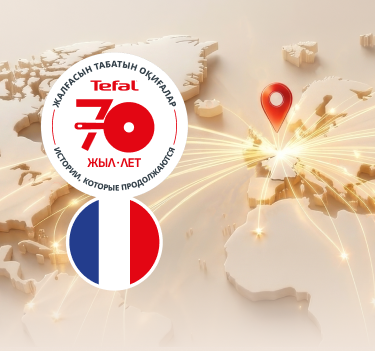 Tefal по всему миру