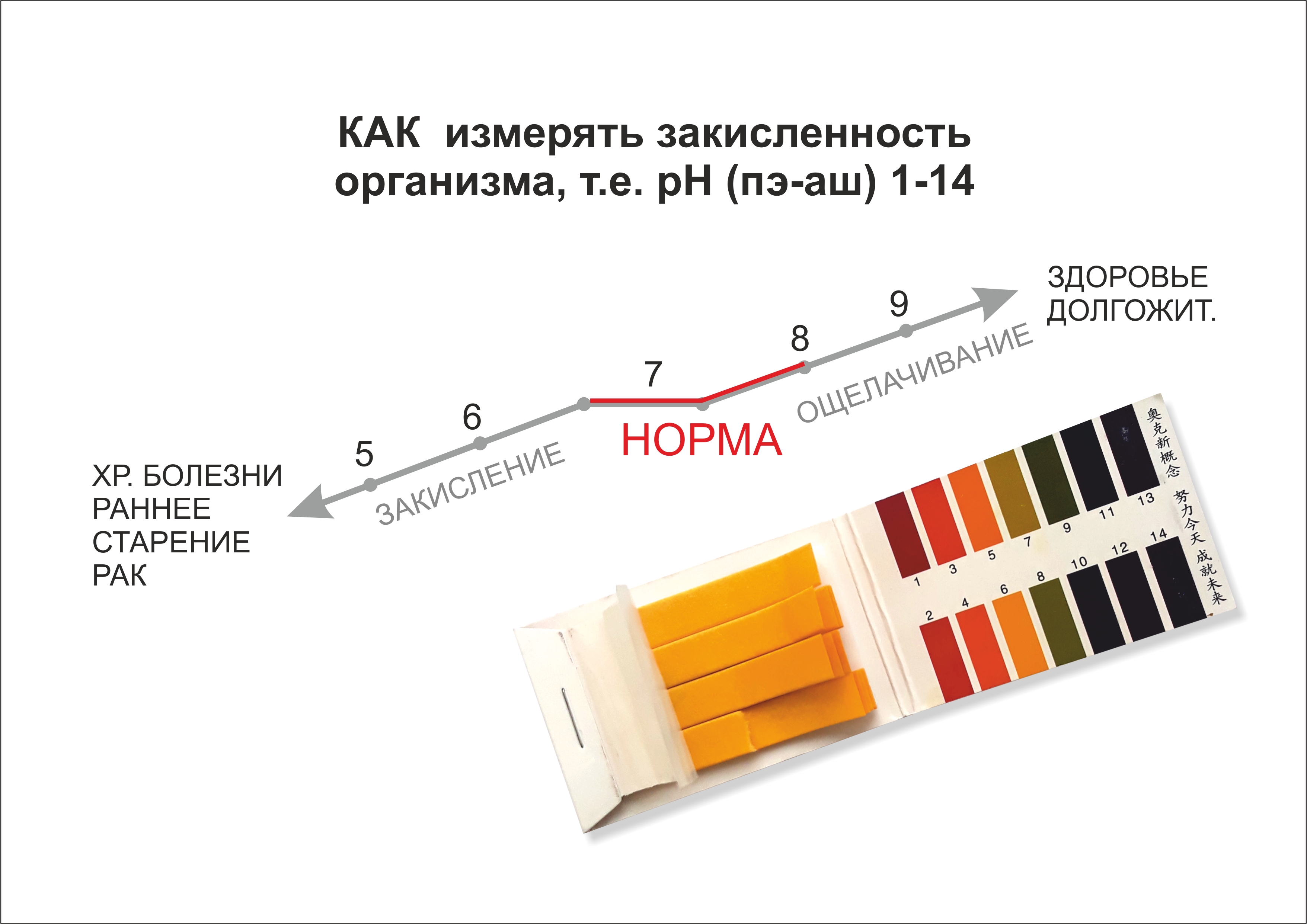вставка вставка.jpg