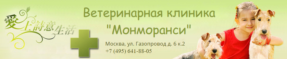 Ветеринарная клиника 