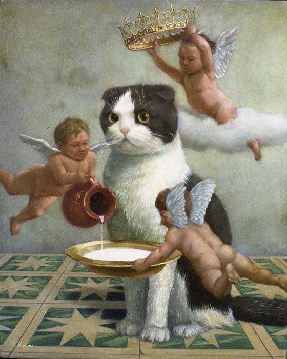 Кот.jpg