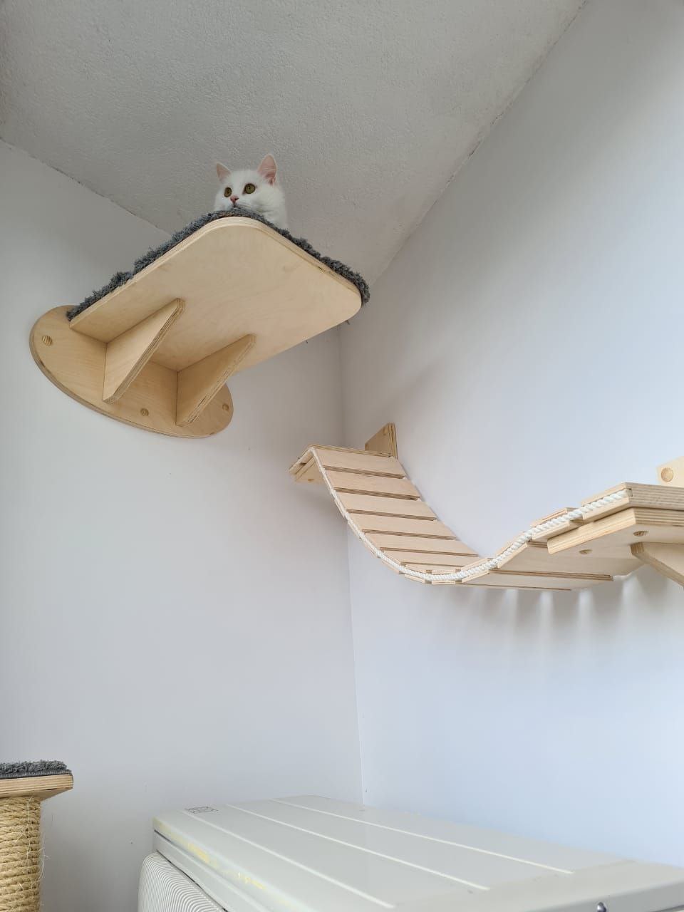 мебель для кошки на балконе