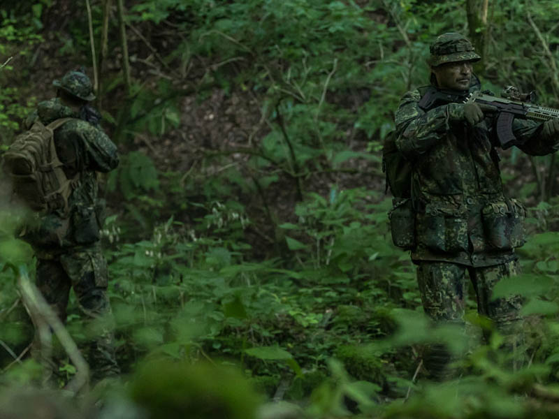 Статья Allmulticam | Немецкий камуфляж Flecktarn