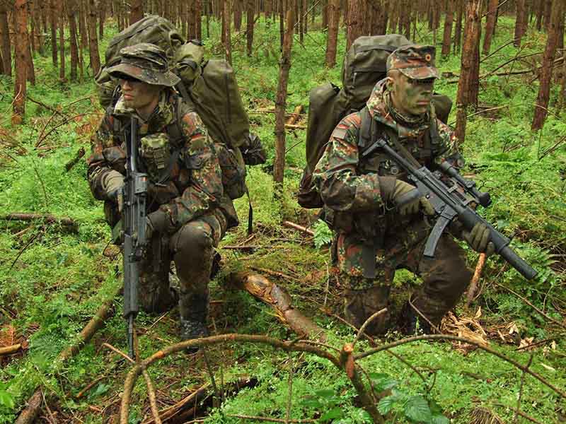 Статья Allmulticam | Немецкий камуфляж Flecktarn