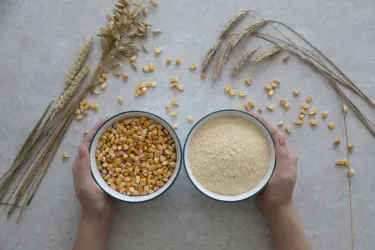 Вредная мука из магазина Купить мельницу для зерна для дома
