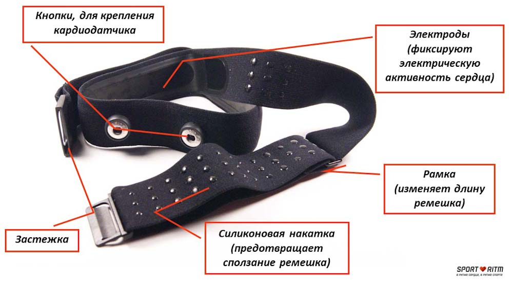 Ремешок Polar Pro
