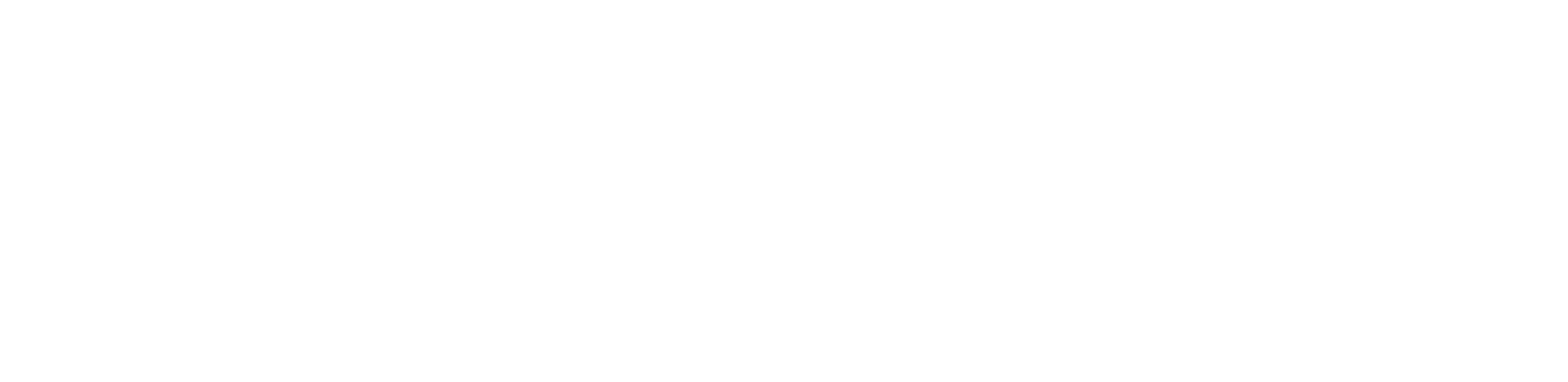 State Venice