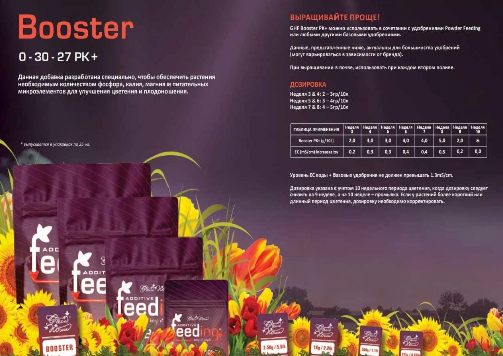 Booster - WebP.webp