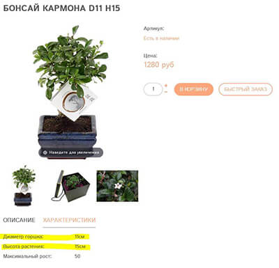 Характеристики в карточке EnjoyPlants