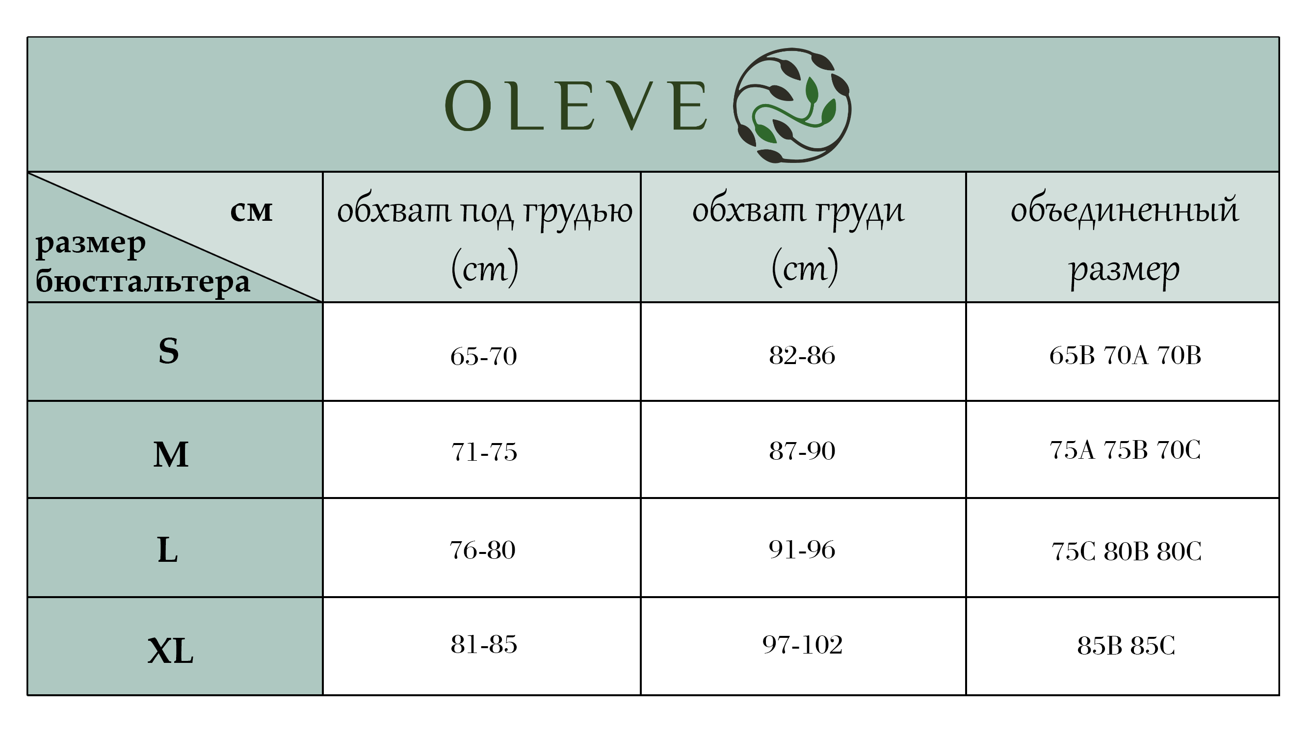 Размерная сетка бесшовные бюсты 6104_6105.png