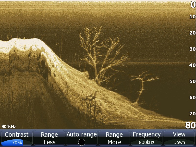 Изображение DownScan